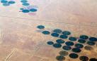 Las tierras áridas, como los desiertos, podrían ser una respuesta al problema de la captura de carbono, según sostiene un grupo de expertos