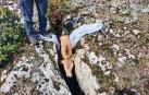 El animal, atrapado en la grieta de Urbasa
