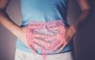 Según el tipo de alimento que pongamos en el plato, crecerán unas bacterias u otras en nuestro intestino