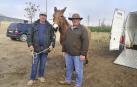 ‘Pelegrina’, en el centro de la imagen, fue el único animal presente en la última feria de Tafalla