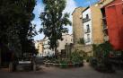 *A: JOSE CARLOS CORDOVILLA 
*F: 15-09-2022
*P:  
*L: PAMPLONA 
*T: HUERTO DE LA PLAZA SANTA ANA