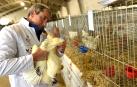 Uno de los participantes con una de las aves durante la feria