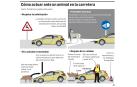 Cómo actuar ante un animal en la carretera