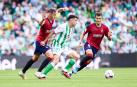 Fotos del Betis 2-1 Osasuna de la jornada 11./