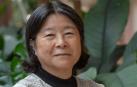 Yuriko Saito, filósofa y referente en el ámbito de la estética de lo cotidiano