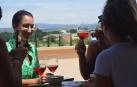 La terraza con vistas a Olite de las Bodegas Marco Real.