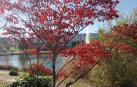 Otoño