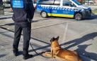 Un agente de la Policía Municipal junto a un perro policía
