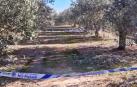 Vídeo del olivar de Tudela en el que ha aparecido un cuerpo sin vida