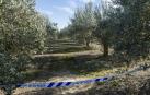 Olivar de Tudela donde apareció el cadáver, precintado por la policía