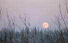 La llamada Luna Fría o Luna de Nieve permanecerá sobre el horizonte durante más tiempo que el resto de lunas llenas