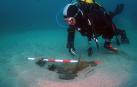 Un submarinista inspecciona unos restos de patrimonio submarino subacuático localizados en los fondos de la ría de Ribadeo (Lugo)