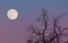 La Luna llena de enero también se conoce como Luna del lobo