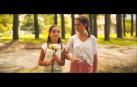 Vídeo 'The world ask for peace-El mundo pide paz'