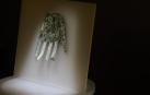 La Mano de Irulegi, fotografiada el día de la presentación de su hallazgo