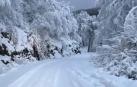 Nieve en la subida a San Miguel de Aralar