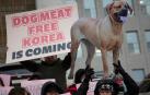 Corea del Sur prohíbe el consumo de carne de perro a partir de 2027