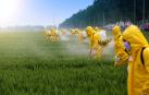 Imagen de archivo de varios trabajadores rociando pesticidas