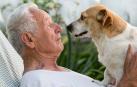 Una persona mayor con su perro