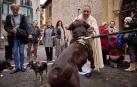 Bendición de animales por San Antón en la iglesia de San Nicolás de Pamplona.