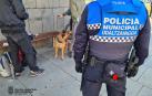 Agentes de la Policía Municipal de Pamplona, en una de las intervenciones del pasado fin de semana