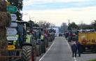 Agricultores franceses participan en una manifestación con sus tractores en Valence d'Agen, sur de Francia