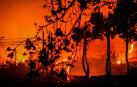 Ascienden a 51 los muertos por los incendios en Chile