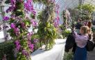 Varias personas toman fotos a unas orquídeas durante un pase de la prensa al espectáculo 'The Orchid Show: Florals in Fashion'