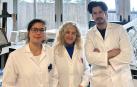 De izquierda a derecha, Sara Lorenzoni, María Blanco y Carlos Rodríguez, investigadores de la Universidad de Navarra que buscan tratamientos menos tóxicos contra el neuroblastoma