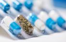 Los médicos alemanes pueden prescribir tratamientos a base de cannabis desde 2017, en presentaciones como flores o medicamentos formulados con esta sustancia