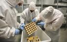 La colonia de grillos que había en las instalaciones de Nutrinsect Spain se tuvo que vender.