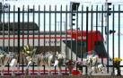 Ramos de flores en memoria de los fallecidos colocados en la verja de la estación de Atocha mientras un tren hace su llegada.