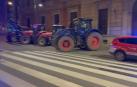 Los agricultores han llegado al centro de Pamplona de madrugada