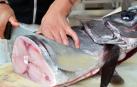 Pescatero