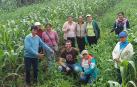 Xabier Pérez, agachado, junto a mujeres campesinas de la provincia de Bolivar en una parcela de diversificación y purificación de semillas.