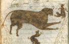 Suerte taurina con perros, el astado y el matabueyes en Pamplona. Dibujo en la cartilla manuscrita de aprendizaje de gramática, realizada en Pamplona c. 1715