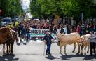 Pequeños productores locales piden en Pamplona un cambio de modelo para lograr soberanía alimentaria