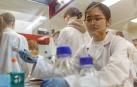 La Universidad de Navarra es primera de España en Orientación Internacional; y segunda en Enseñanza y Aprendizaje