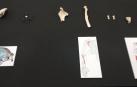 Restos humanos de una neandertal hallados en la cueva de Karranza en Vizcaya