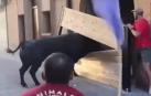 El morlaco arremetió contra las tablas durante el encierro de este lunes en la fiestas de la Juventud de la localidad, que se han celebrado del 21 al 24 de junio