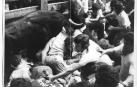 Un montón formado en uno de los encierros de 1974.