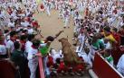 Vaquillas en la plaza de toros de Pamplona tras el segundo encierro de San Fermín 2024. |