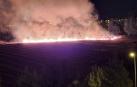 Imagen del incendio en el campo de cereal junto al colegio Irabia-Izaga