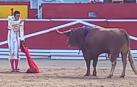 Estocada de Alejandro Talavante al primer toro de la corrida del 11 de julio