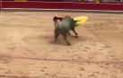 El colombiano ha esperado con las rodillas en tierra a la salida del toro