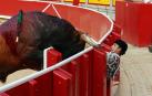 El primer toro de Antonio Ferrera, de la ganadería Miura, ha amagado con saltar al callejón durante la última corrida de la Feria del Toro de Pamplona