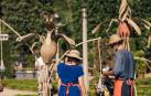 Instalación artístico-botánica en el patio del Palacio de Ezpeleta