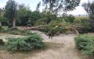Un agente de la Policía Local de Burlada junto al árbol de grandes dimensiones caído sobre el puente viejo de la localidad