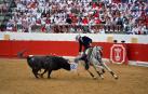 La localidad celebró el festejo taurino con novillos de Valle Blanco para los rejoneadores David Gomes (de verde) y Adrián Venegas (de azul)