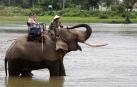 Turistas montados sobre elefantes cruzan el lago Lak, en Vietnam
